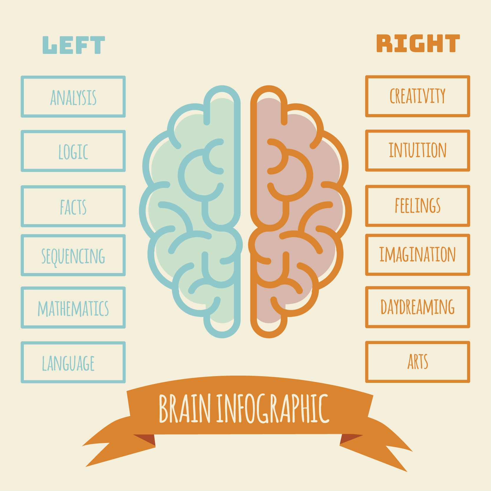 Cerveau Gauche Et Droit Mythe: Différence Cerveau Gauche Droit – LKHQT